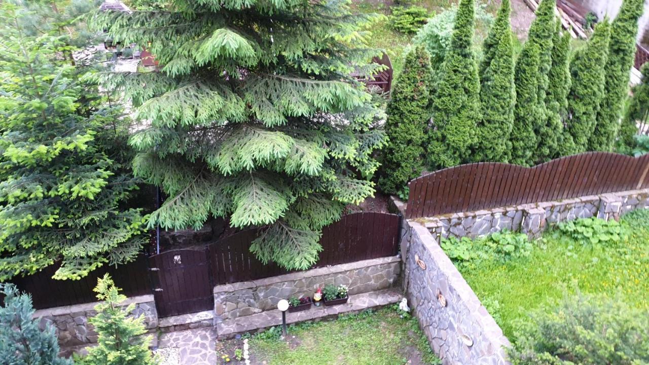 Green View Sinaia Exterior foto