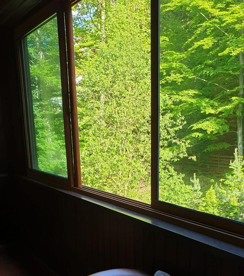 Green View Sinaia Exterior foto