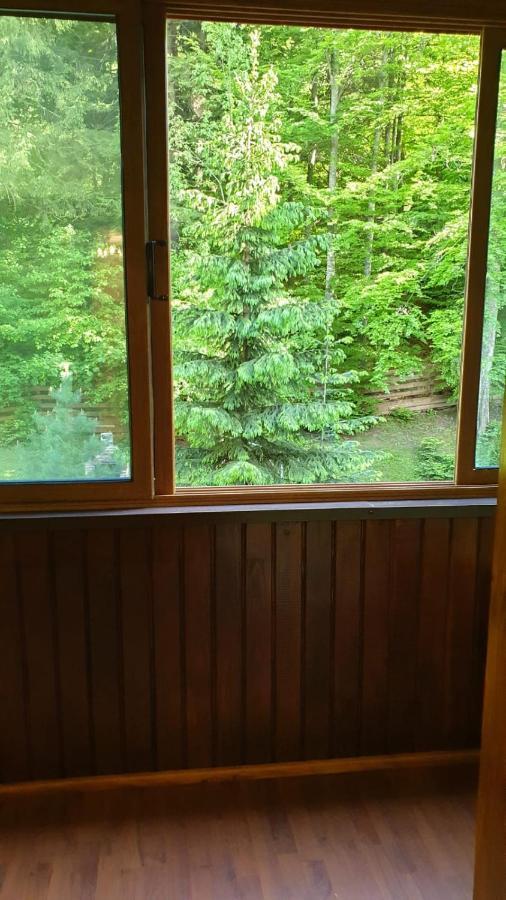 Green View Sinaia Exterior foto